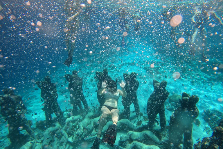 Snorkeltour naar beeld onder water en schildpaddenSnorkeltour bij zonsondergang