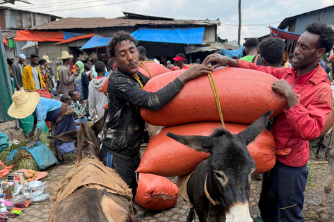 Addis Ababa: Guided Hop-On Hop-Off Tour with Guide