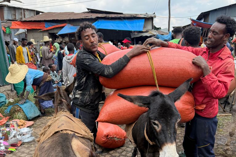 Addis Ababa: Guided Hop-On Hop-Off Tour with Guide