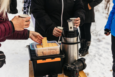 Tromsø: Arctisch landschap en fjordentocht met snacks