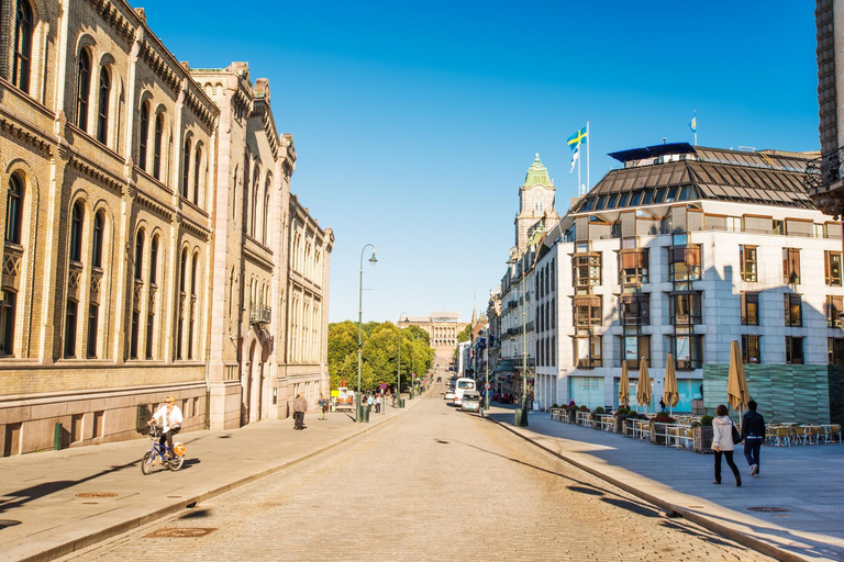 Oslo Old Town Country History Private Guided Walking Tour 2-hour: Old Town Tour