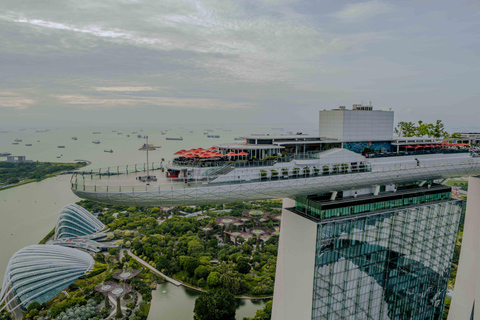 Gardens by the Bay & Marina Bay SkyPark with 2 Way Transfer