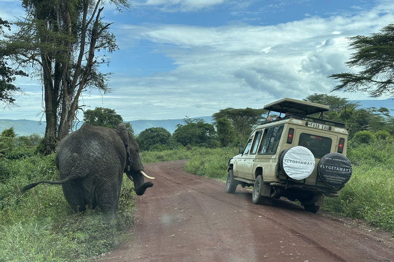 Serengeti: Fly-in Drive-out 4-tägige Safari mit 3 ÜbernachtungenSerengeti: 4 Tage und 3 Nächte Safari mit Flug und Ausfahrt