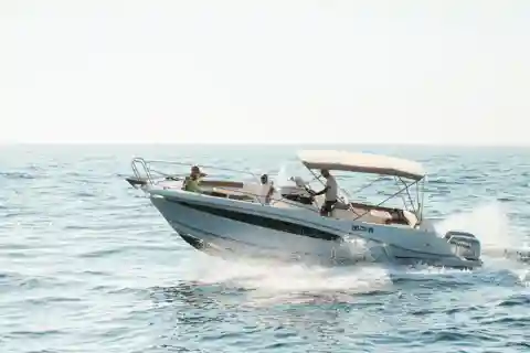 Rovinj: Family Friendly Dolphin Watching Tour