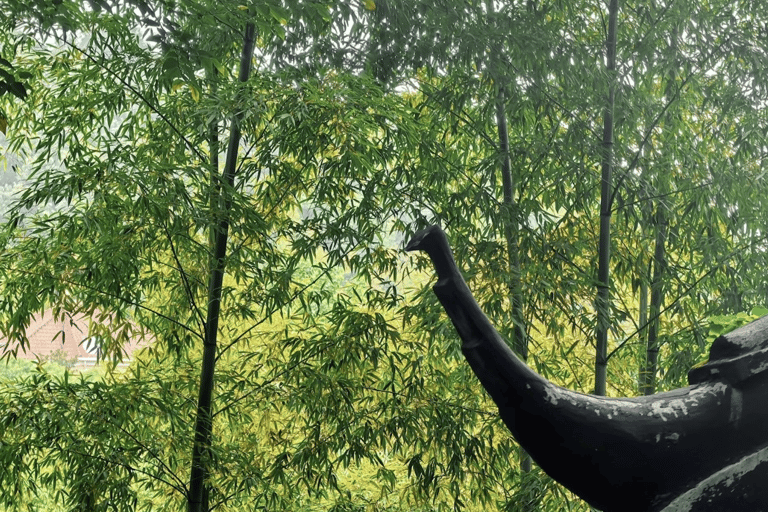 Shanghai: Sheshan Hill Private Tour with Hotel Pickup