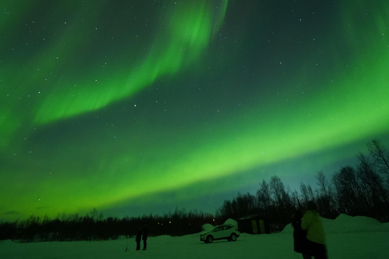 From Kiruna: Abisko National Park Northern Lights Tour