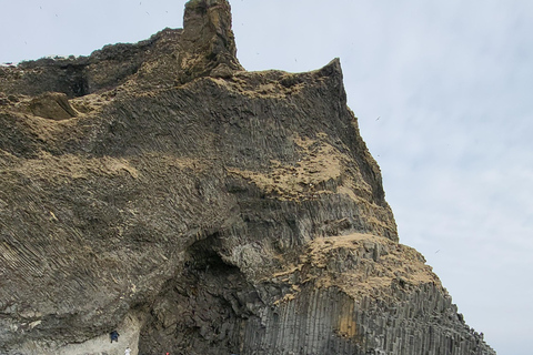 Costa Sur de Islandia: Tour privado de un día