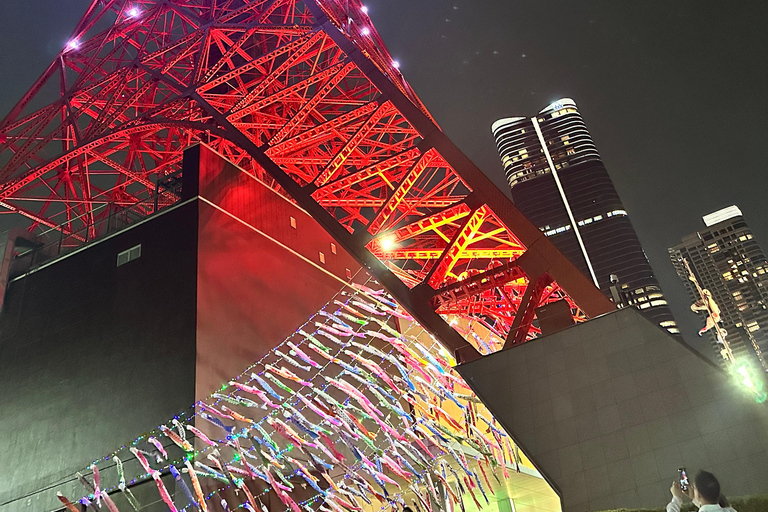 Tokyo: tour notturno privato con passaggio in hotel