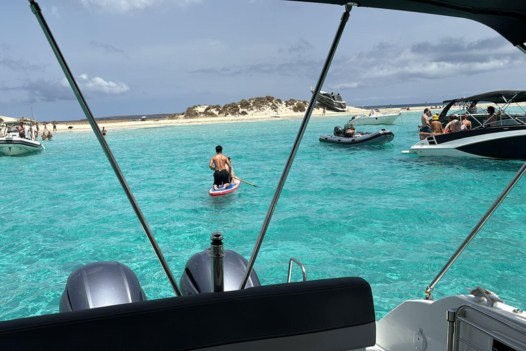 Ibiza: Ses Salines Beach Motorboat Tour with 4 Stops 4 Hours