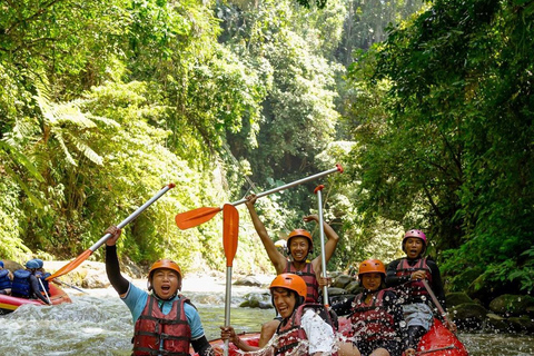 Bali: Buggy Adventure With Water Rafting All-Inclusive Tour Transfer only ( exluded ticket to buggy and rafting )