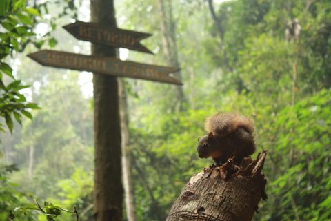 Bogota: Explore the forest and bird watching at Chicaque Natural Park