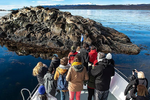 Beagle Channel on yacht with minitrekking