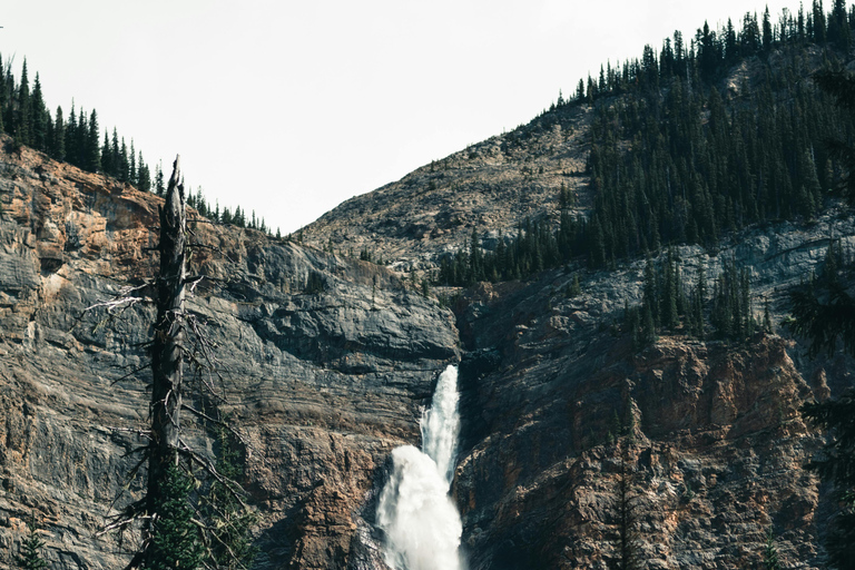 Calgary: Emerald Lake & Takakkaw Falls Small Group Tour