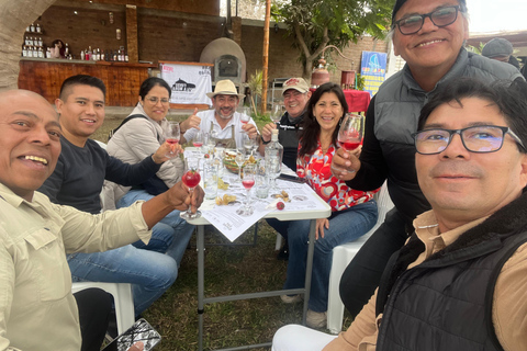 Pisco | History, Nature and Archaeology in the Pisco Valley