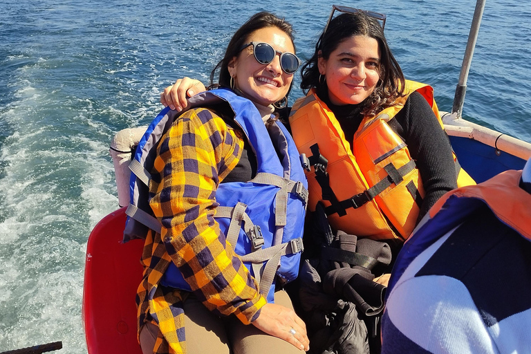 Valparaíso & Viña del Mar: Explore, Discover and Sail