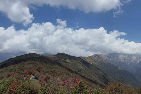 De Katmandu: Caminhada guiada de 6 dias pelo acampamento base do Mardi Himal