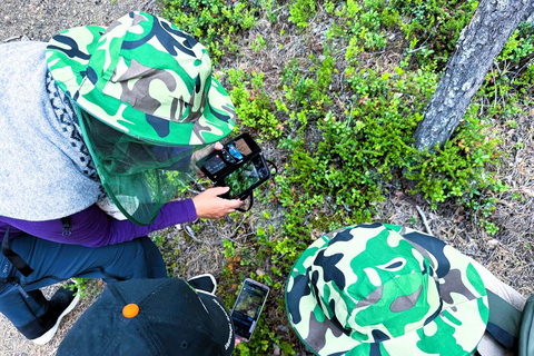 Rovaniemi to Ruka Roller Coaster & Korouoma Canyon Waterfall