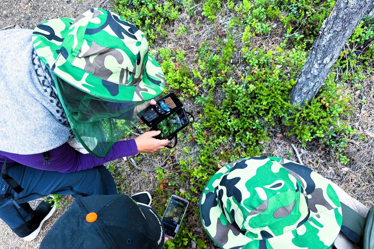 Rovaniemi to Ruka Roller Coaster & Korouoma Canyon Waterfall