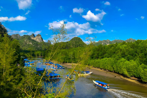 Langkawi : Circuit dans les îles : options de bateau partagé ou privéBateau à partager pendant 4 heures avec billet pour le nourrissage des aigles