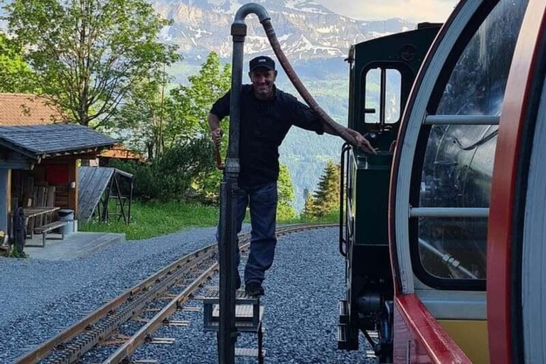 Zurich: Bernese Alps Tour with Lake Cruise & Steam Train Special Offer