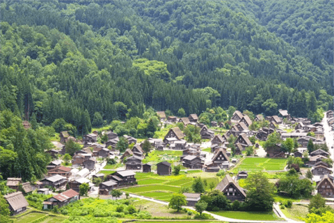 Nagoja: jednodniowa wycieczka do wioski Hida Takayama i Gassho-zukuri