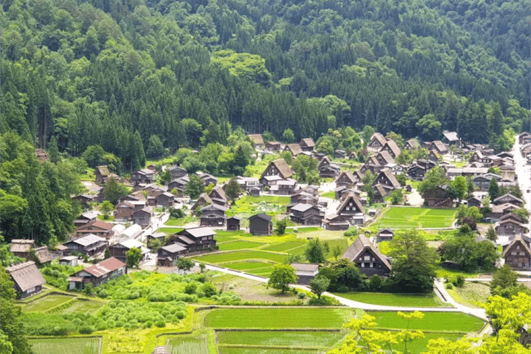 Nagoya : excursion d&#039;une journée à Hida Takayama et au village de Gassho-zukuri