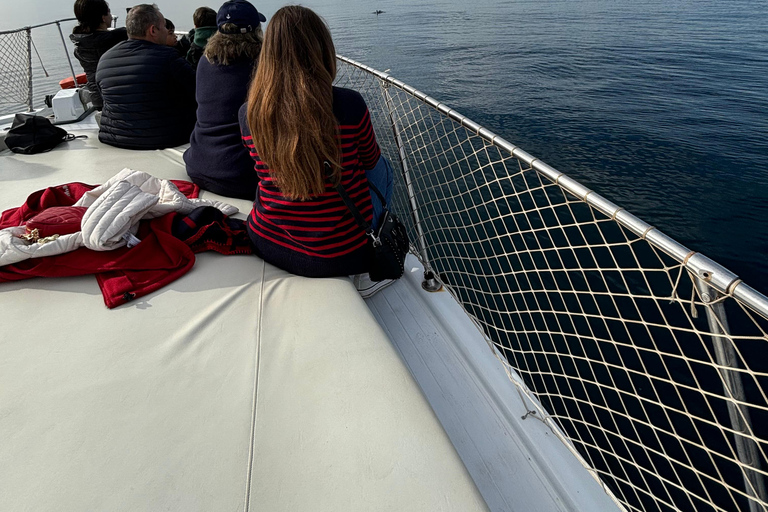 Estepona: Dolphins Searching Sea Cruise with Drink & Snacks Group Cruise