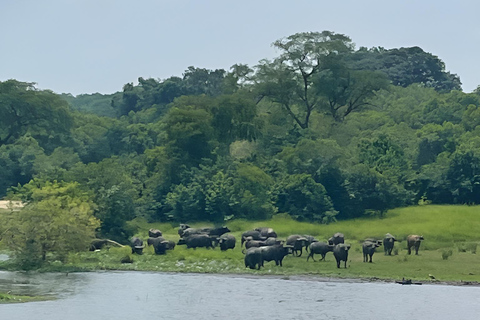 Uganda: 3-Day Murchison Falls & Kibale Chimpanzee Trekking