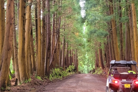 Westkant van Terceira: 4×4-avontuur in een Side by Side