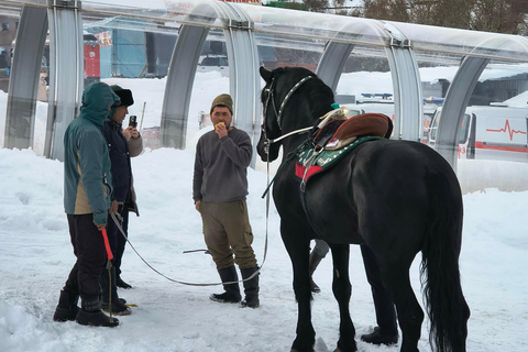 From Tashkent: Amirsoy, Chimgan & Charvak Mountain Day Trip For Local Visitors