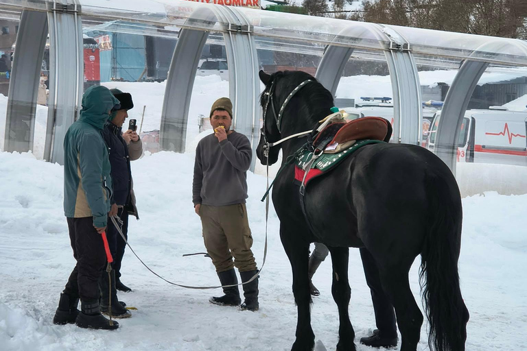 From Tashkent: Amirsoy, Chimgan & Charvak Mountain Day Trip For Local Visitors