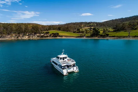 Hobart : Croisière aux fruits de mer à bord d'un catamaran spacieux