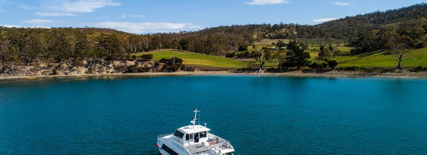 Hobart : Croisière aux fruits de mer à bord d'un catamaran spacieux