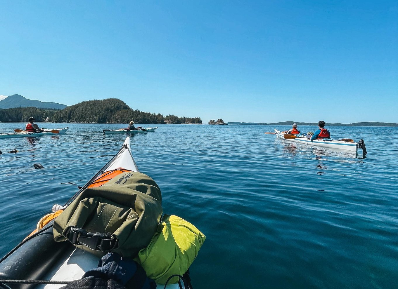 Telegraph Cove: 2-timers kajaktur om dagen eller aftenen