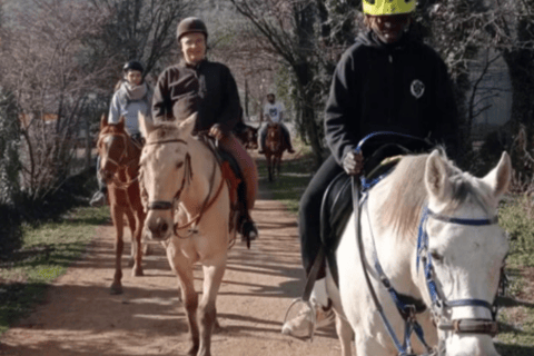 Girona: La Garrotxa Horseback Riding Experience