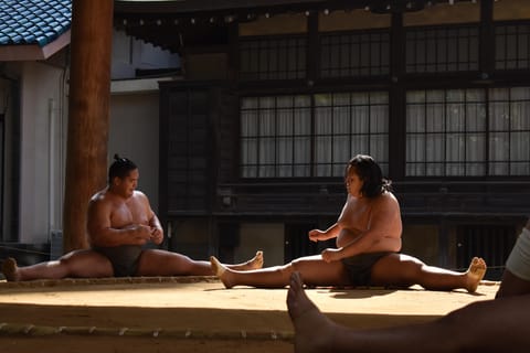 Fukuoka: Morning Sumo Practice and Hakata Old Town - Image 2