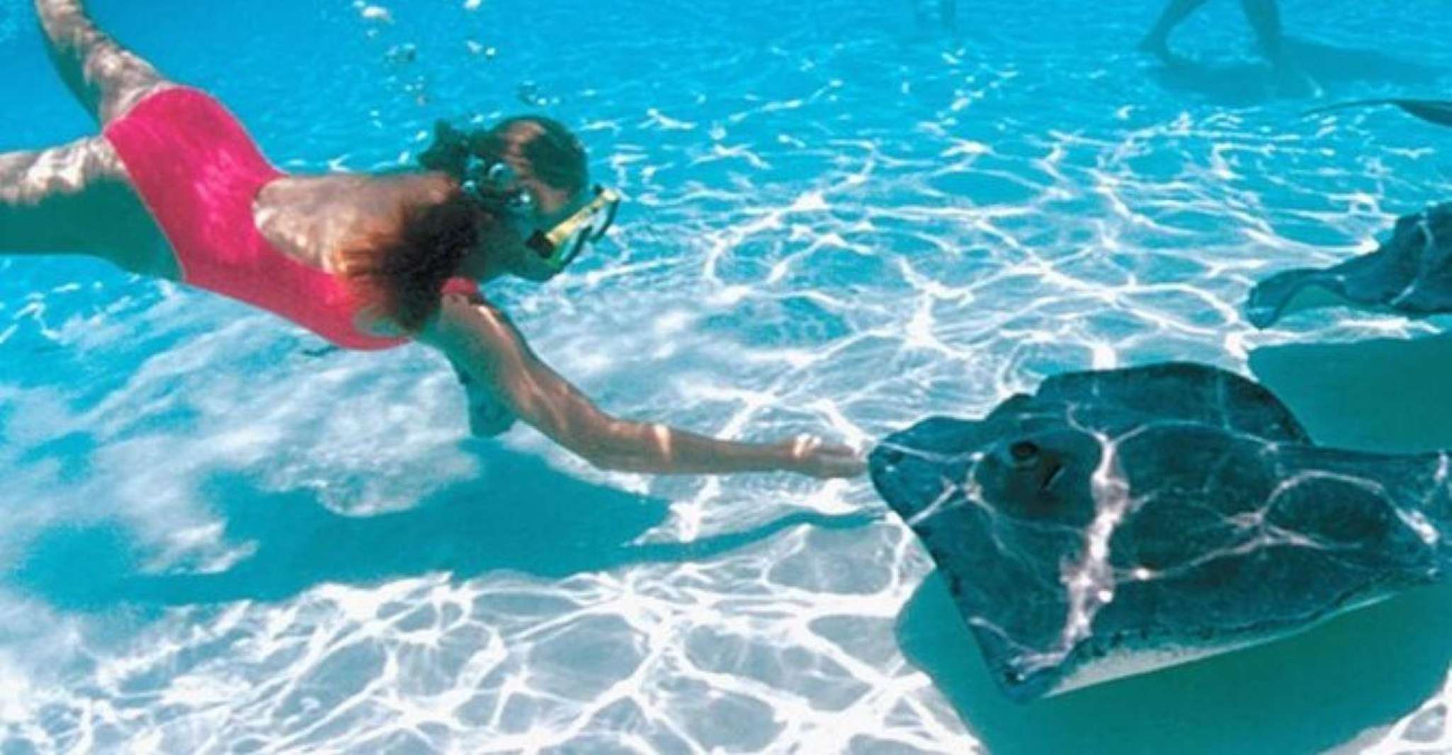 Suitetrails - George Town, Stingray City and Snorkeling at Cayman Reefs