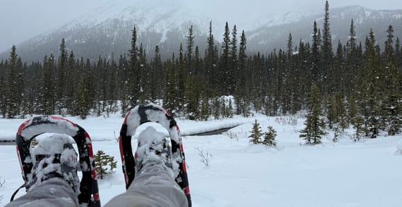 Canmore/Banff Snowshoeing Adventure Including Transportation
