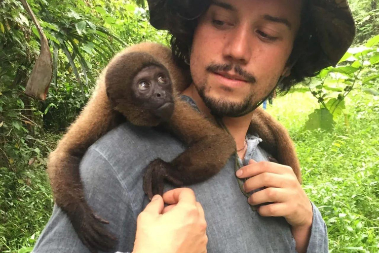 De Iquitos || Excursão à Ilha dos Macacos Dia inteiro ||