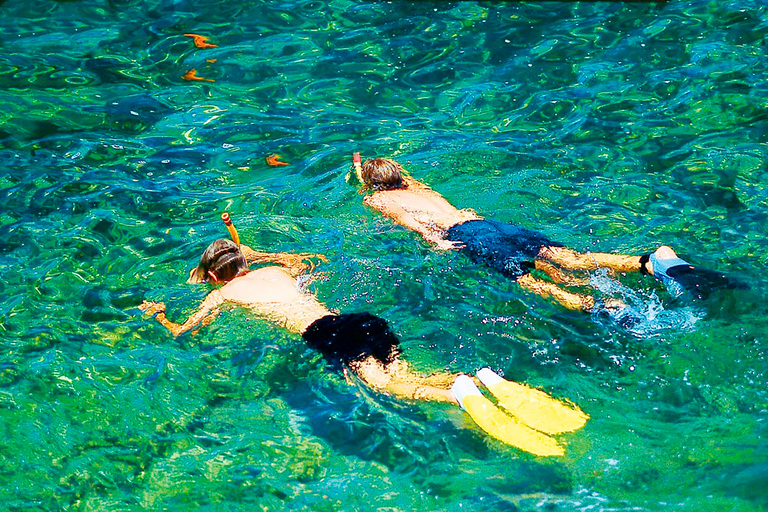 Majorque : Croisière d&#039;observation des dauphinsPaguera : rendez-vous à Playa Tora