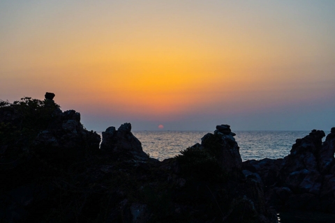 Excursion au coucher du soleil à Jeju : Visite d'Olle Trail demi-journée