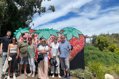 Från Adelaide: Hahndorf och Barossa Valley med vingårdslunch