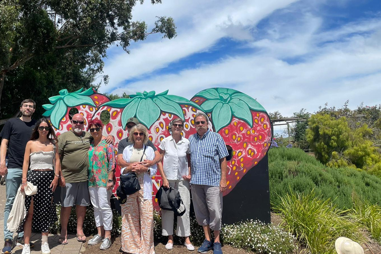 Från Adelaide: Hahndorf och Barossa Valley med vingårdslunch