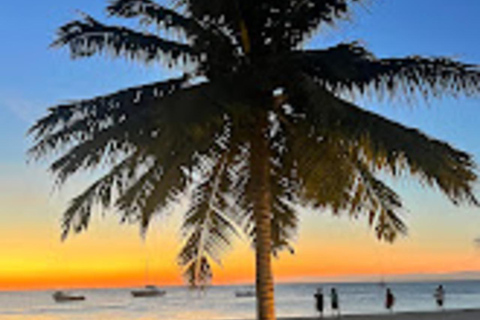 WYCIECZKA MNEMBA DOLPHIN TOUR, AKWARIUM LAGUNA I PLAŻA KENDWA