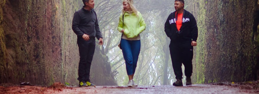 Découvrez les trésors cachés d'Anaga. Prise en charge GRATUITE.