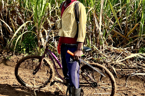 Buggy o zachodzie słońca — cały dzień — mała grupaBuggy o zachodzie słońca – cały dzień – mała grupa
