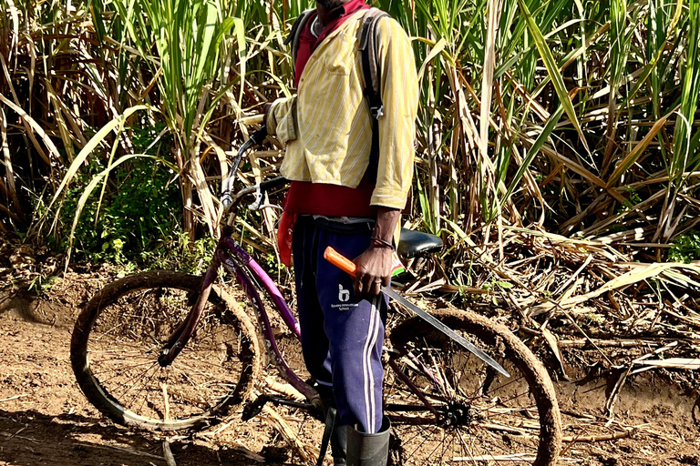 Buggy o zachodzie słońca — cały dzień — mała grupaBuggy o zachodzie słońca – cały dzień – mała grupa