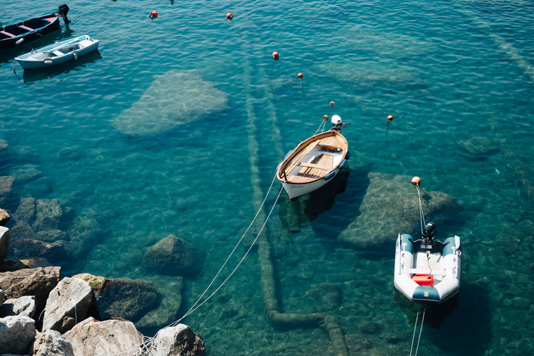 Florence: Cinque Terre-dagtourDagtocht naar Cinque Terre zonder veerboot en trein in het Italiaans