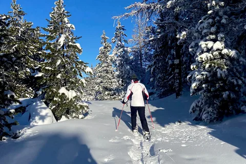 Vialattea: Sneeuwschoenwandelen in het besneeuwde bos