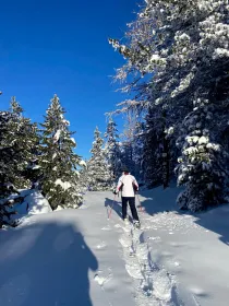 Vialattea: Mit Schneeschuhen durch den verschneiten Wald
